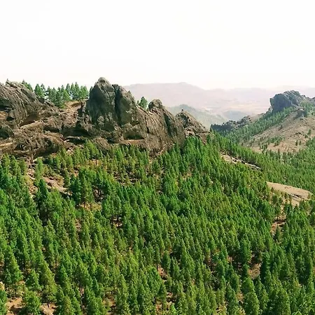 Apartament Sunny Near Canteras *