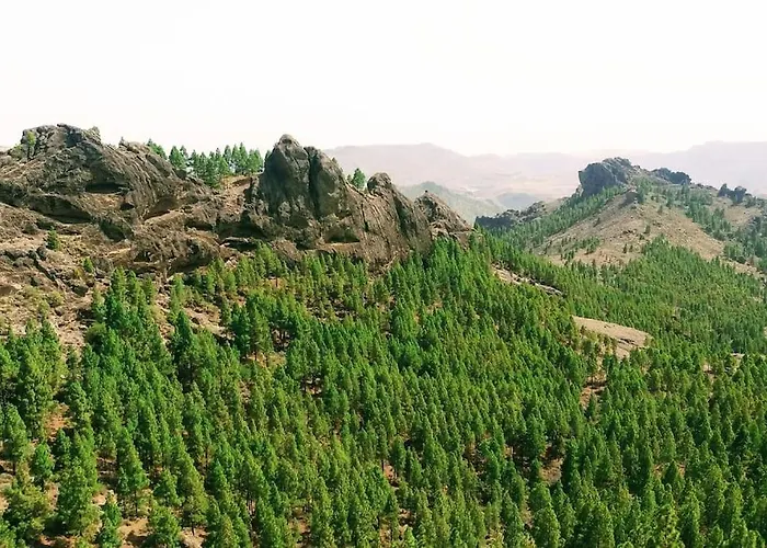 公寓 Sunny Near Canteras *